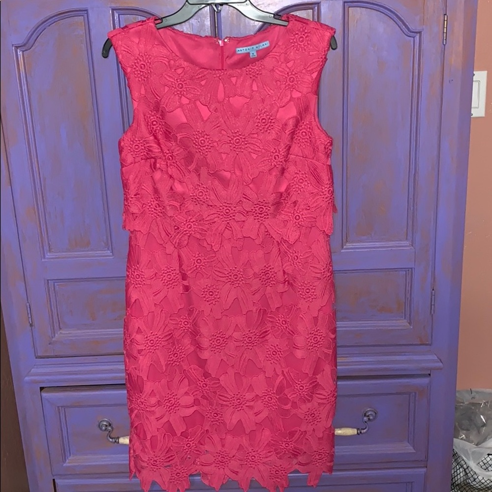 Antonio Melani Pink Lace Dress sz 4.